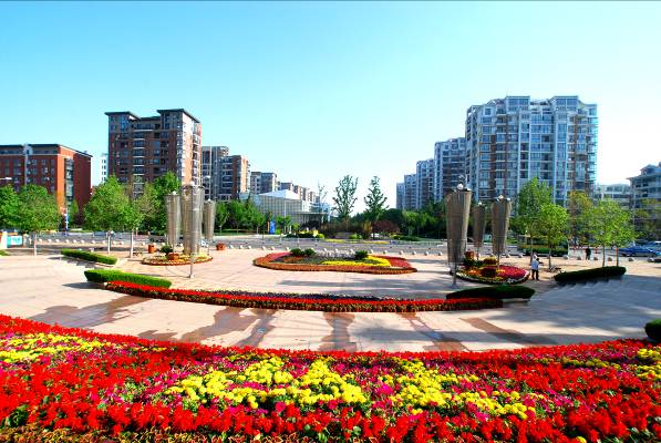 扎实推进美丽城阳建设 全面提升城市环境品质